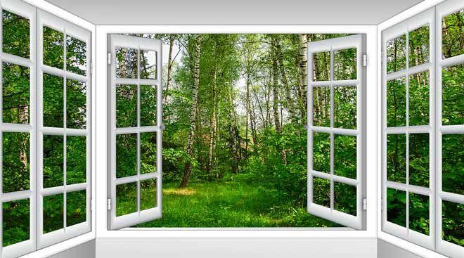 windows