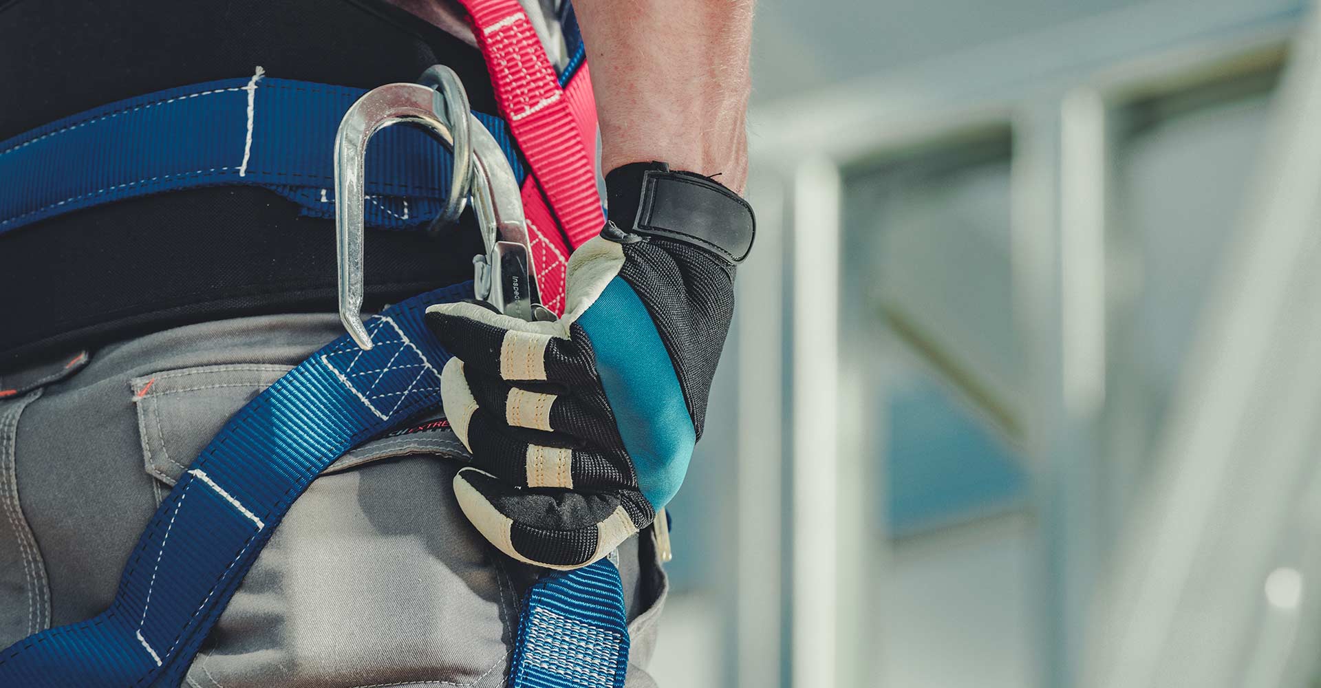 safety harness